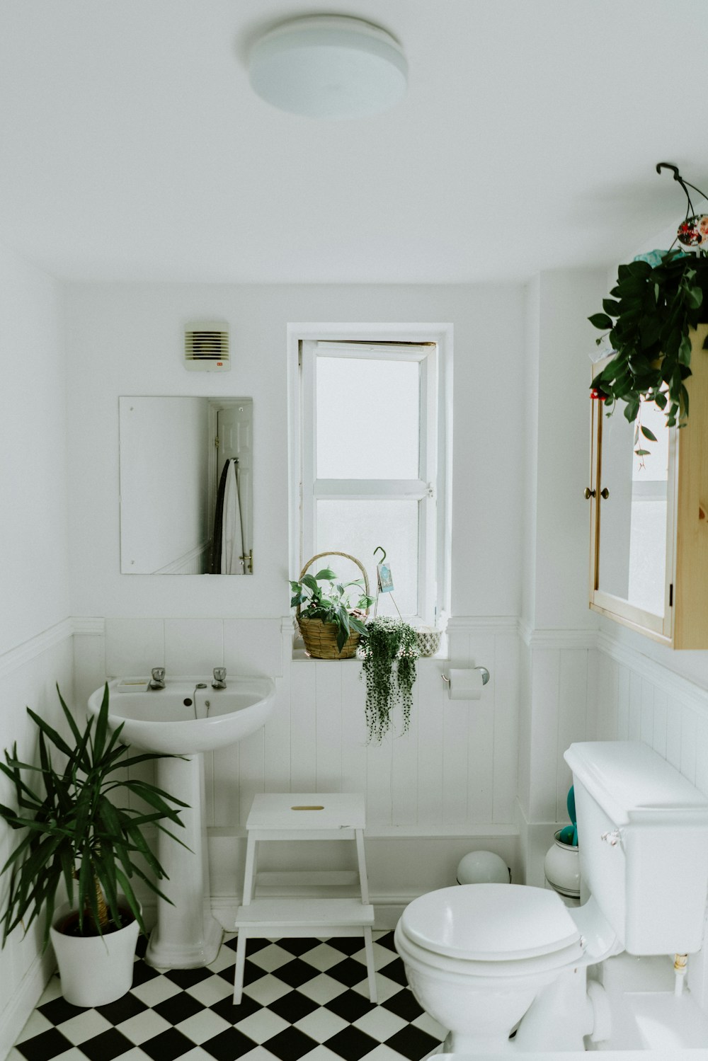 Contemporary bathroom fixtures and interior finishes